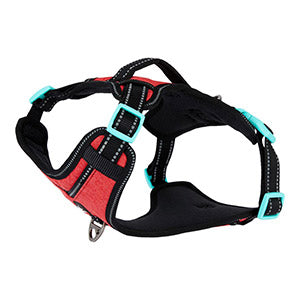 3 Peaks Ascent Dog Harness