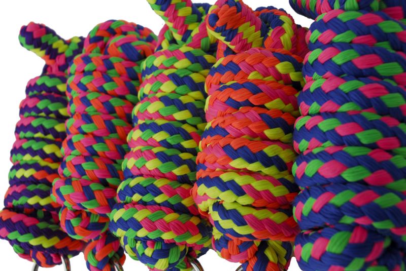 Neon Lead ropes