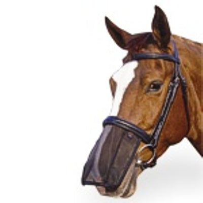 Aerborn Noseshield NOSE
- small pony