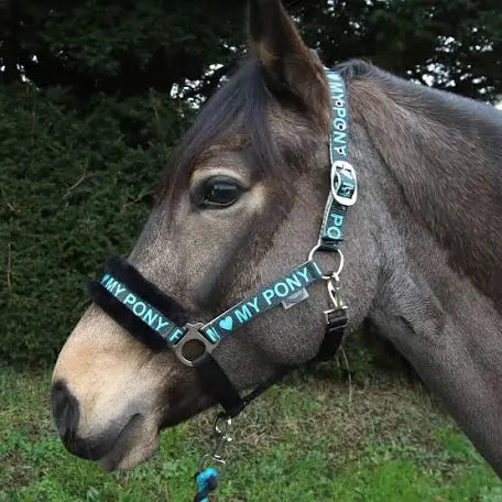 I Love my Pony Headcollar