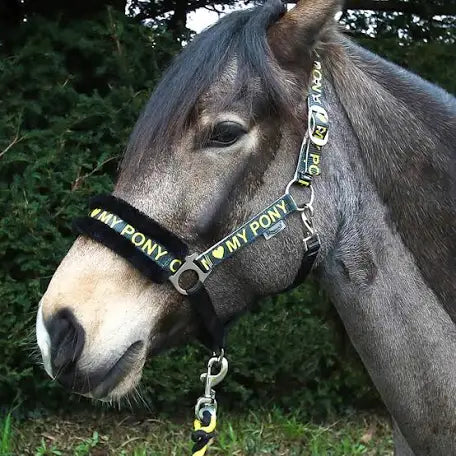 I Love my Pony Headcollar