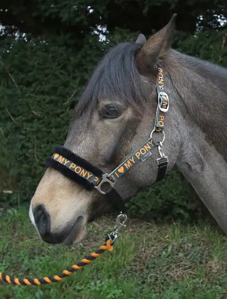 I Love my Pony Headcollar