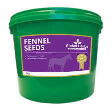 Global Herbs Fennel Seeds