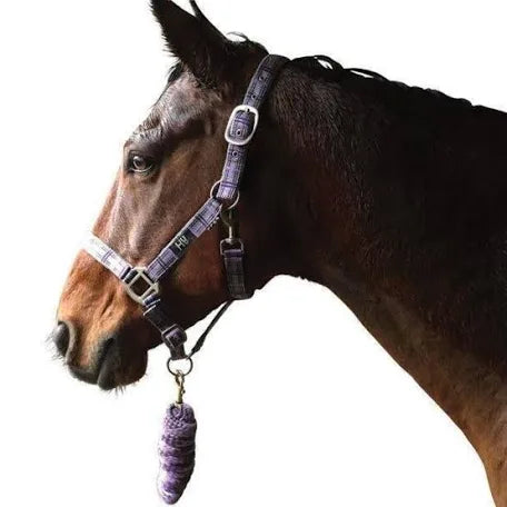 Hy Tartan Headcollar with Lead rope