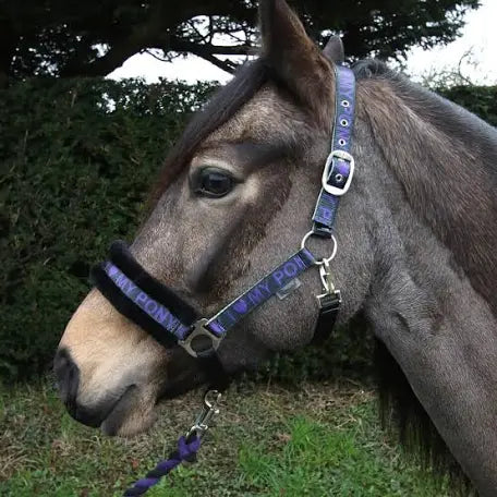 I Love my Pony Headcollar