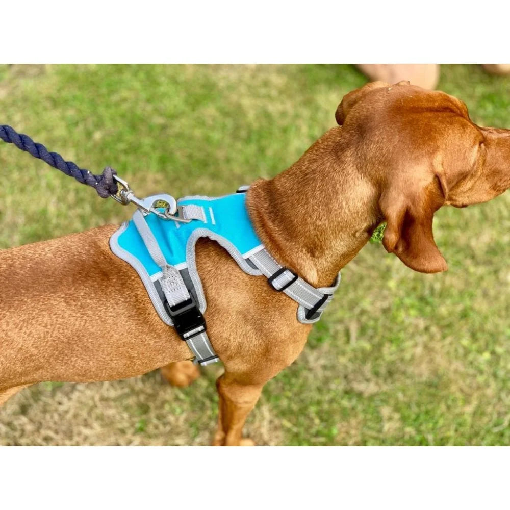 Henry Wag Travel Harness