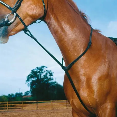 Standing Martingale