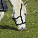 Rhinegold Field Safe Headcollar