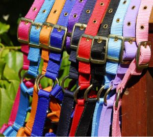 Foal Headcollars