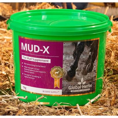 Global Herbs Mud X