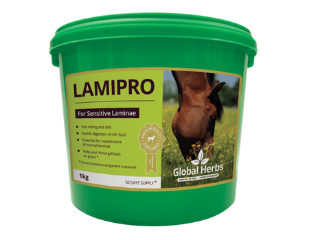 Global Herb Lamipro Powder 1KG