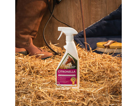 Global Herbs Citronella Spray